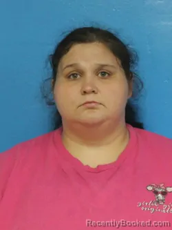 Mugshot of KAYLEE BRIANNA ELLIS booked in Sullivan County, Tennessee on May 10, 2026