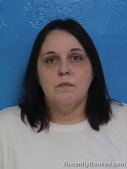 Mugshot of SUSAN NICOLE JOHNSON booked in Sullivan County, Tennessee on May 13, 2026