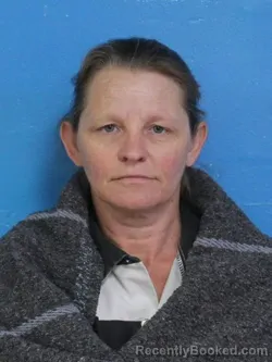 Mugshot of KELLY LORRAINE JOHNSON booked in Sullivan County, Tennessee on May 23, 2026
