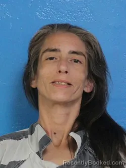 Mugshot of LAURA BETH OWENS booked in Sullivan County, Tennessee on July 7, 2026