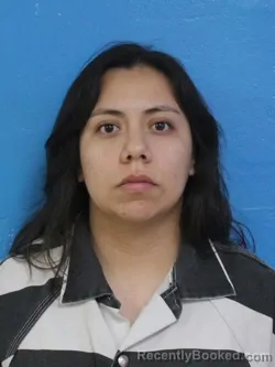 Mugshot of ANDREA FERNANDA HERNANDEZ booked in Sullivan County, Tennessee on July 14, 2026