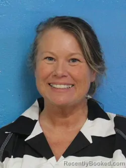 Mugshot of TERESA ANNETTE COLLINS booked in Sullivan County, Tennessee on June 19, 2026