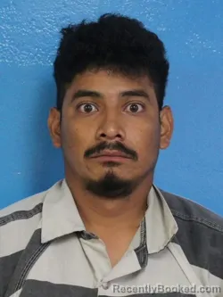 Mugshot of KEVIN LOPEZ CALIXTO booked in Sullivan County, Tennessee on June 23, 2026