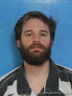 Mugshot of TYLER JAMES LIVINGSTON booked in Sullivan County, Tennessee on June 26, 2026