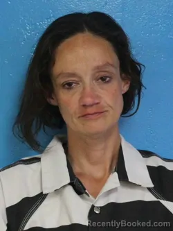 Mugshot of JAMIE LEANNE YOUNG booked in Sullivan County, Tennessee on June 27, 2026