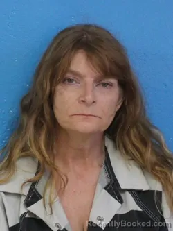 Mugshot of KIMBERLY DAWN HARRISON booked in Sullivan County, Tennessee on July 4, 2026