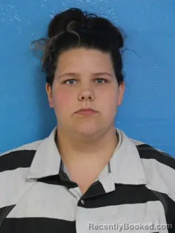 Mugshot of BRIANNA MARIE NETTLETON booked in Sullivan County, Tennessee on July 7, 2026