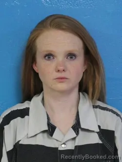 Mugshot of SYDNEE NOEL GILLIAM booked in Sullivan County, Tennessee on July 8, 2026