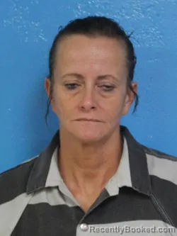 Mugshot of PAULA SUE COX booked in Sullivan County, Tennessee on July 13, 2026