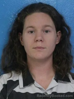 Mugshot of HALEE MICHELLE HESTER booked in Sullivan County, Tennessee on August 3, 2026