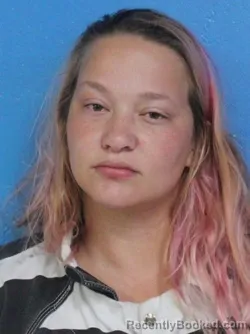 Mugshot of Cheyenne Alexis Paltridge booked in Sullivan County, Tennessee on August 19, 2026