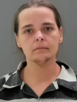 Mugshot of Jennifer Sue Samples booked in Sullivan County, Tennessee on August 29, 2026