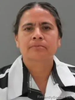 Mugshot of Maria Del Carmen Reyes booked in Sullivan County, Tennessee on August 29, 2026