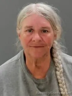 Mugshot of Connie Day-Fritz booked in Sullivan County, Tennessee on September 3, 2026