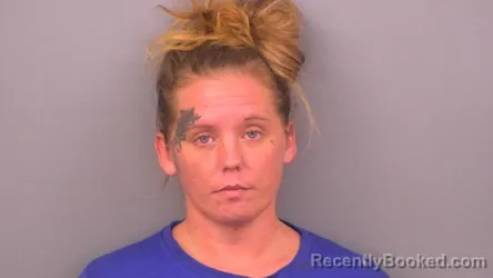 Mugshot of NIKKI DESHAE HARPER booked in Sumner County, Tennessee on July 1, 2026