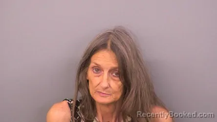 Mugshot of LINDA SUE NEWGARDEN booked in Sumner County, Tennessee on May 15, 2026