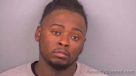 Mugshot of LAZAVIUS D KING