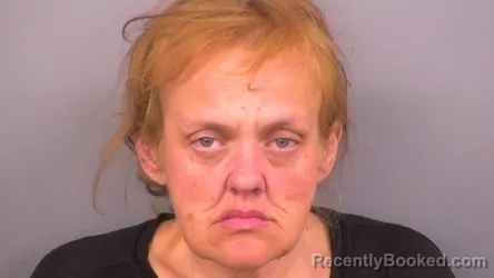 Mugshot of KRISTY KAY TININ