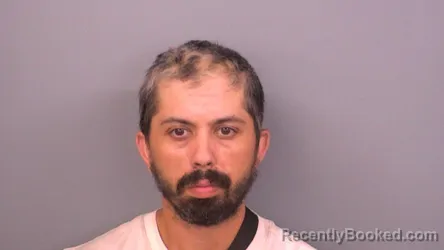 Mugshot of ANTHONY N ILARDI booked in Sumner County, Tennessee on July 2, 2026