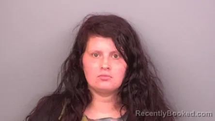 Booking photo from Sumner County, Tennessee