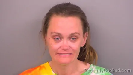 Mugshot of BRITTANY ERDMAN