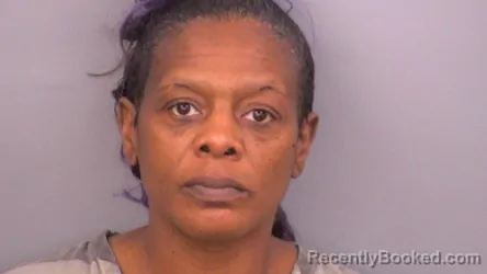 Mugshot of KIM MICHELLE FRANKLIN booked in Sumner County, Tennessee on April 17, 2026