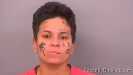 Mugshot of DAYRELYS DEPEDRO