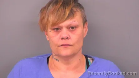 Mugshot of LISA EMILY FUNK