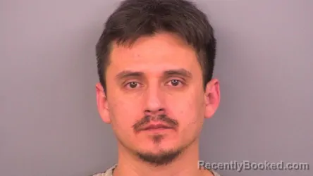 Booking photo from Sumner County, Tennessee