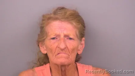 Mugshot of Debra James booked in Sumner County, Tennessee on August 26, 2026