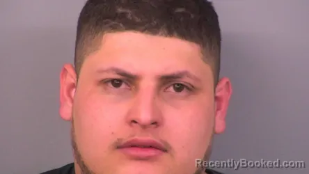 Mugshot of LUIS FERNANDO BUESO-CONTRERAS