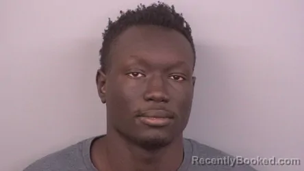 Mugshot of BELJWOK WILLIAM ADIANG