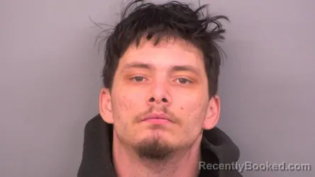 Mugshot of MICHAEL L MCCORD