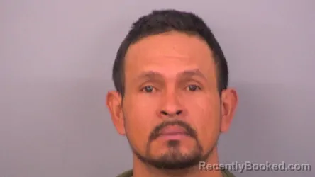 Mugshot of JOSE L GUIFARRO SALINAS