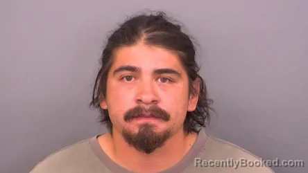 Mugshot of Luis Emmanuel Peterson booked in Sumner County, Tennessee on August 23, 2026