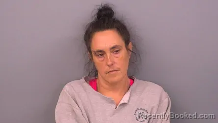 Mugshot of JESSICA M SHEHANE