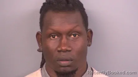 Mugshot of JAMES M NYANG