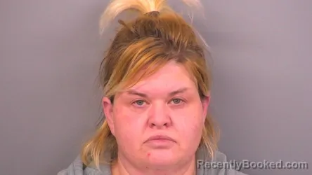 Mugshot of BRANDY DAWN BELLAMY