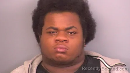 Mugshot of JAVONTE TERRELL JOHNSON