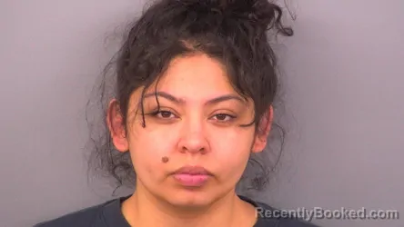 Mugshot of BRENDA VEGA booked in Sumner County, Tennessee on April 25, 2026