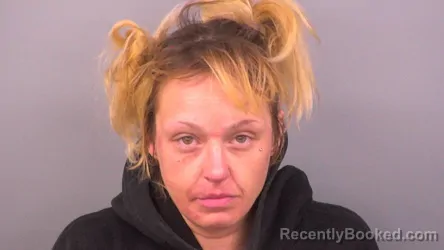 Mugshot of BETHANY ANN WESTENFELT