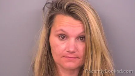 Mugshot of AMANDA NICOLE WHEELER booked in Sumner County, Tennessee on June 16, 2026