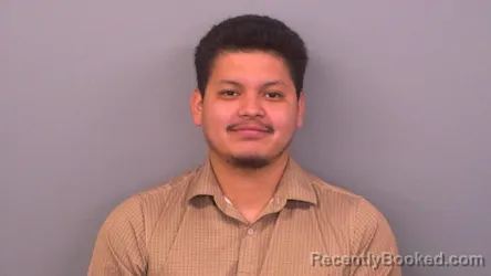 Mugshot of TEODORO RAMIREZ NETRO