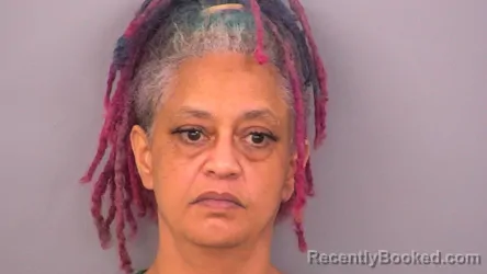 Mugshot of NICOLE DANIELLE ROBINS