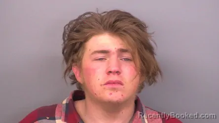 Mugshot of DAVID JONAH COOK