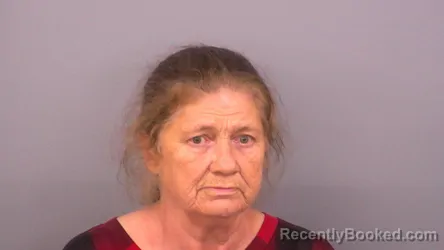 Mugshot of Mavis Ann Bracey booked in Sumner County, Tennessee on August 17, 2026