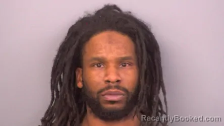 Mugshot of ROBERT LEON MEDARIES