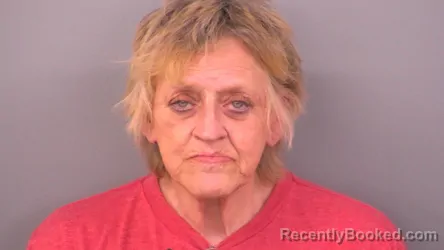 Mugshot of LISA JOY ELMITT