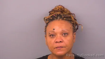 Mugshot of Mitzie Nell Schibik booked in Sumner County, Tennessee on August 14, 2026