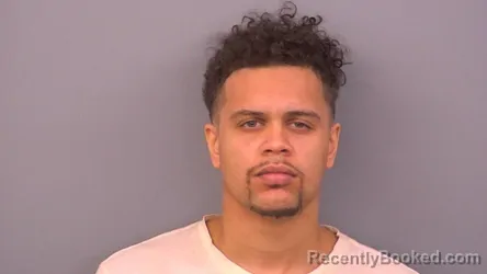 Mugshot of ERIC LEE SWINSON